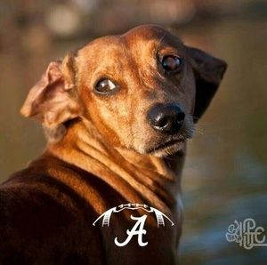 Meet your Posher, Douglas